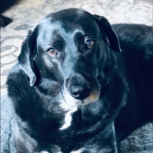 Meet your Posher, Tammie